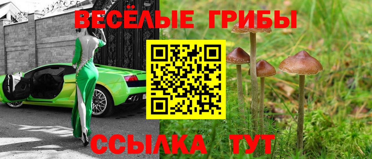 Нальчик  Галлюциногенные грибы Magic Shrooms  Вход с VPN 